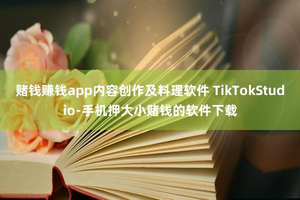 赌钱赚钱app内容创作及料理软件 TikTokStudio-