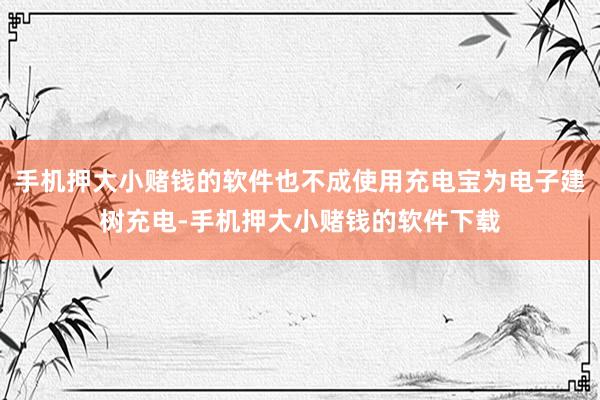 手机押大小赌钱的软件也不成使用充电宝为电子建树充电-手机押大